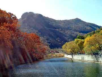 新澳天天开奖资料大全旅游团，藏王红花贴